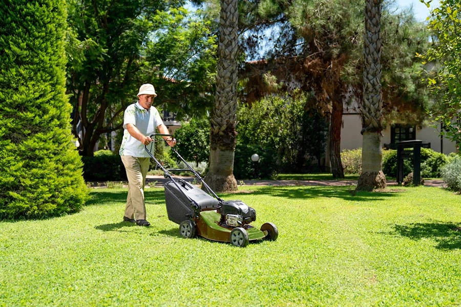 mini lawnmower